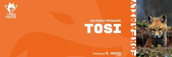 t0siFPS Profile Banner