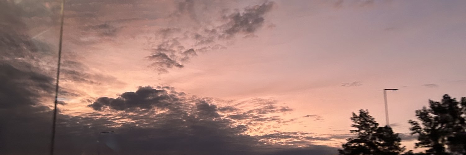 naylaperalta's profile banner image