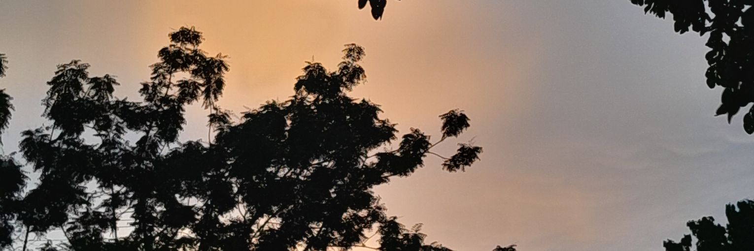 ItsAlexboyt's profile banner image