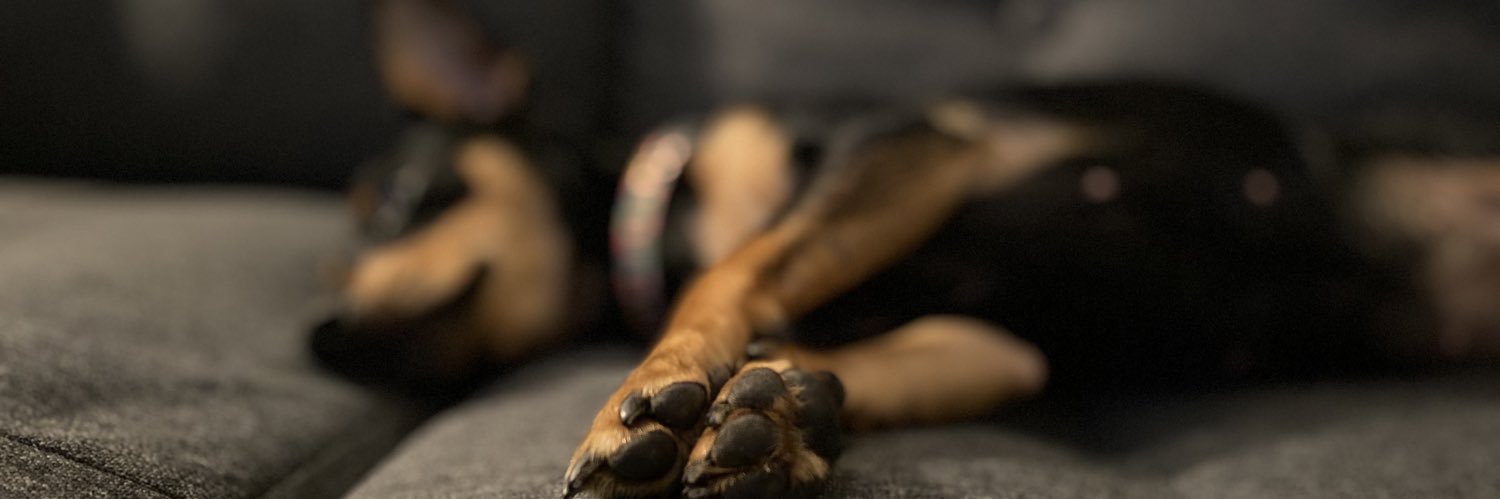 amberclack's profile banner image