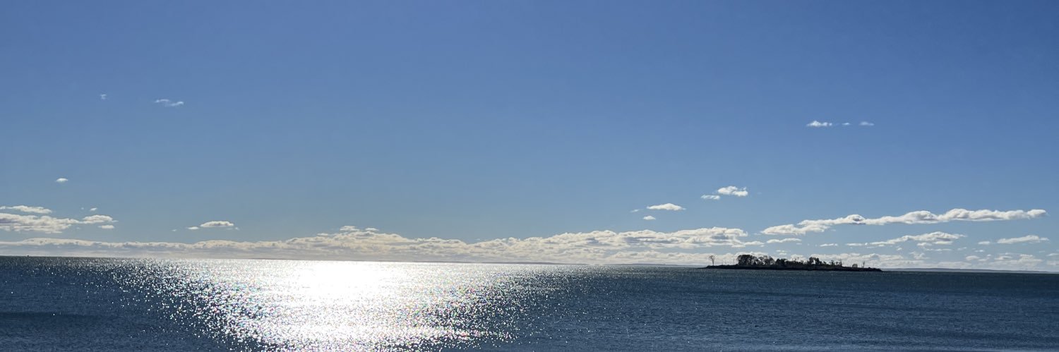 RandisIlv's profile banner image