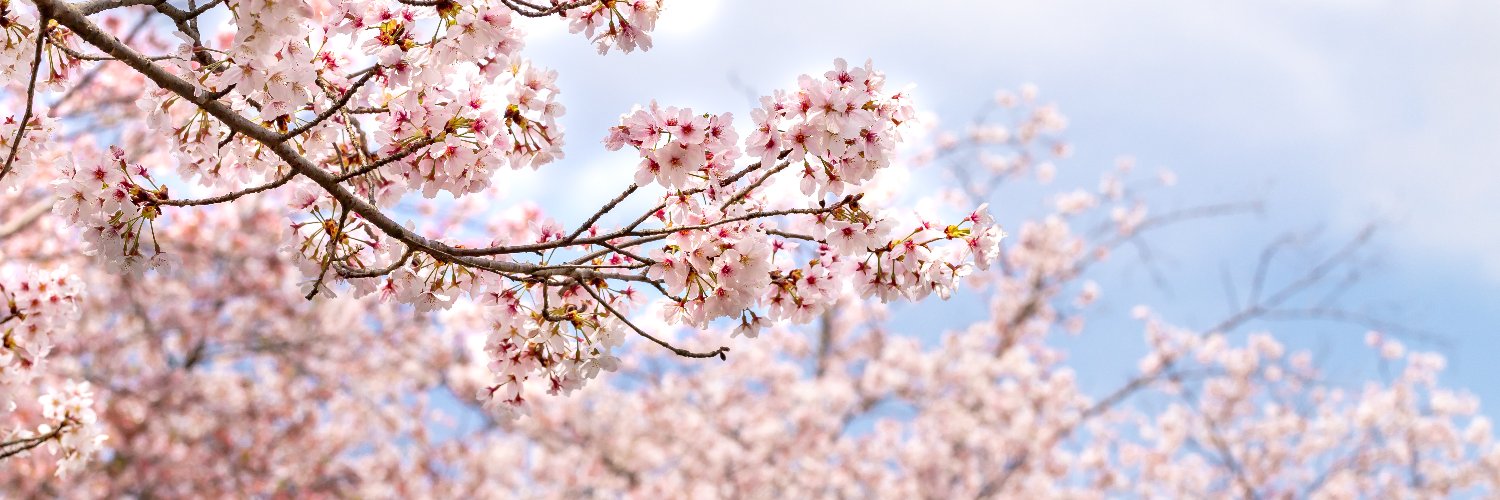 UBCPress's profile banner image