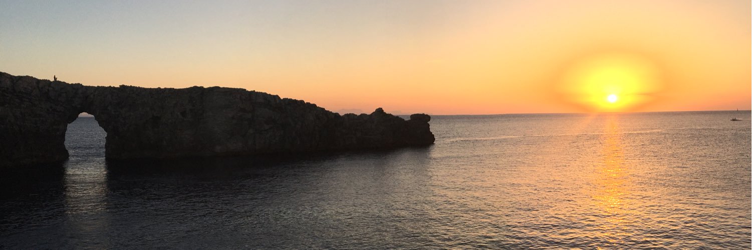 Dídac Surís banner