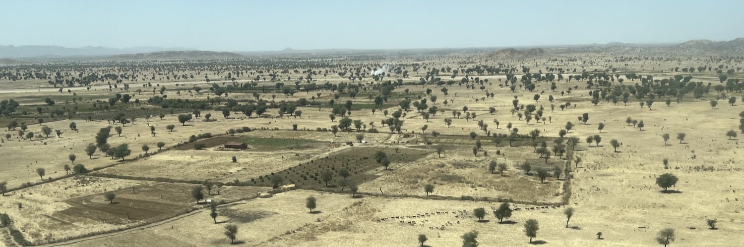 Dániel Weiss banner