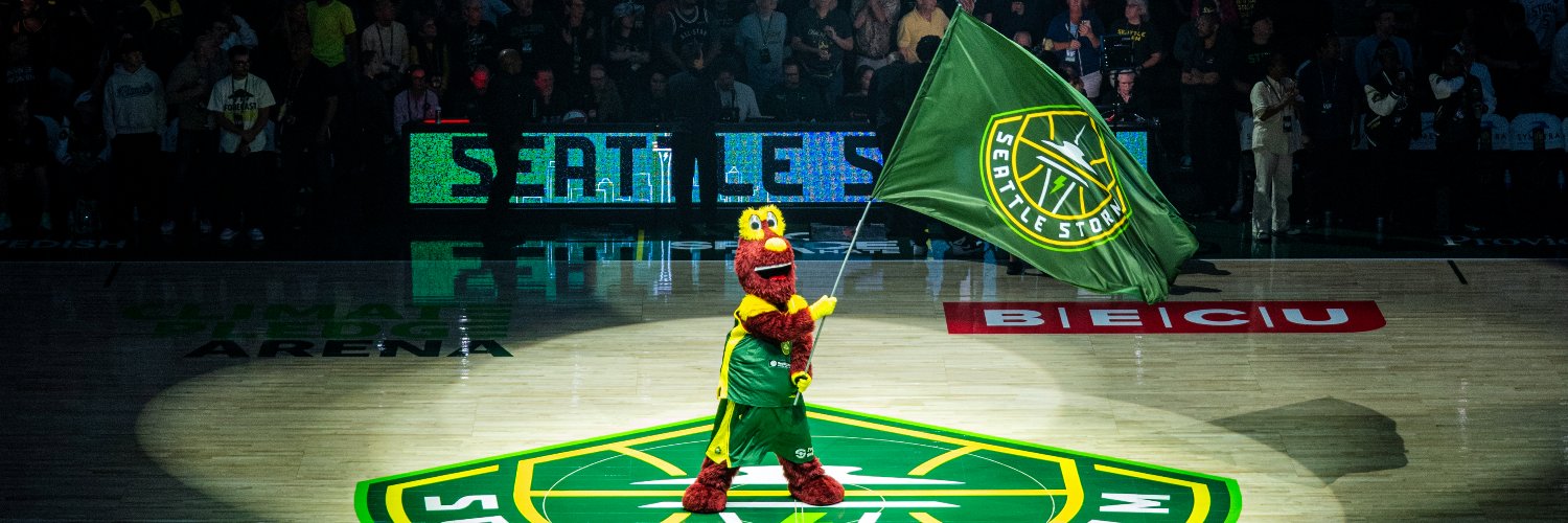 Seattle Storm banner