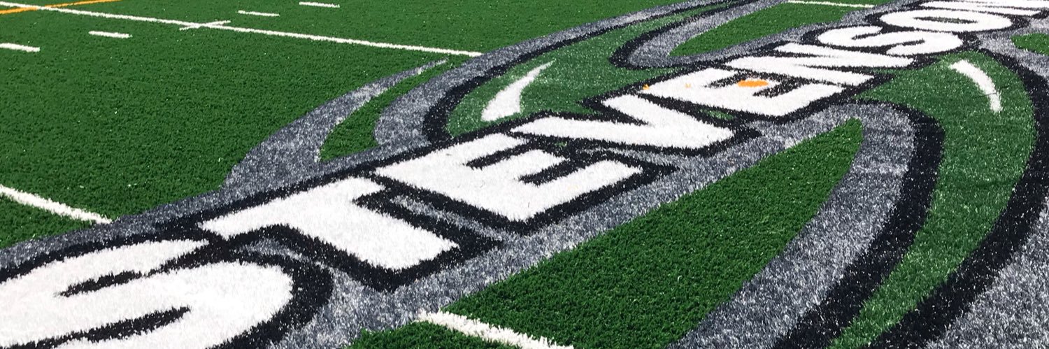 Stevenson University Mustangs banner