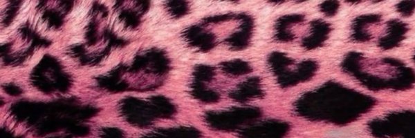 malikdastar Profile Banner