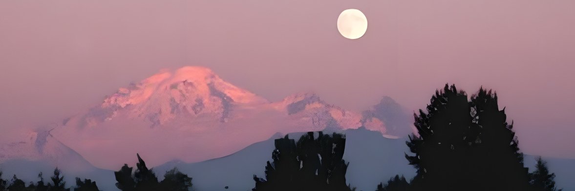 winw's profile banner image