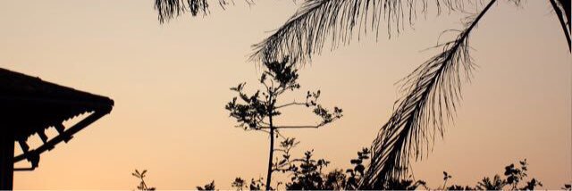 JessyAndreinaa's profile banner image