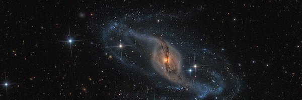 lsky38 Profile Banner