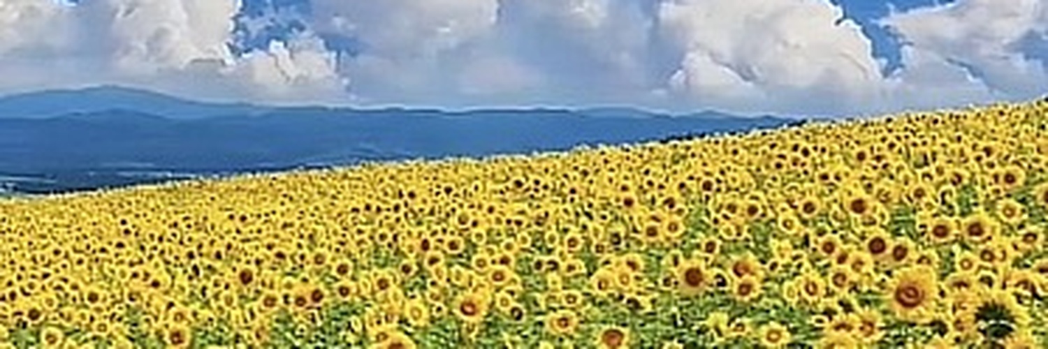 cheetah_22's profile banner image