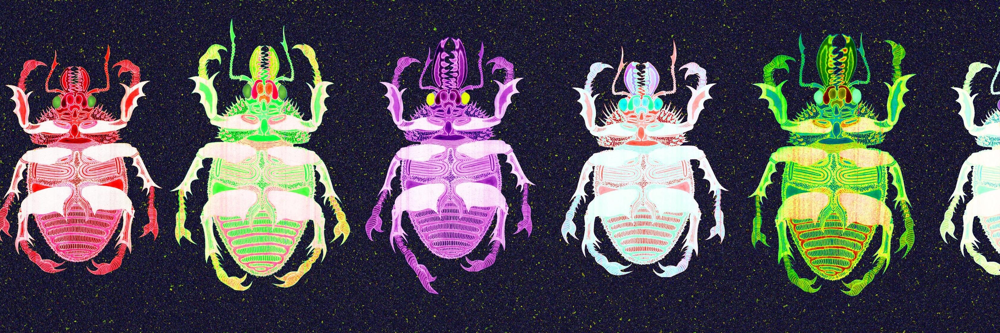 ThePinkAnathema's profile banner image