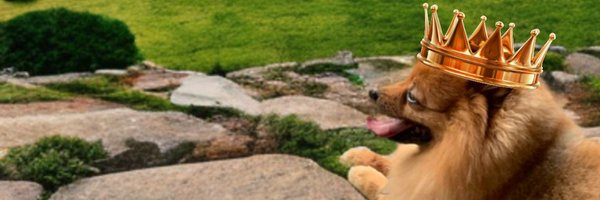 Terrykukis Profile Banner