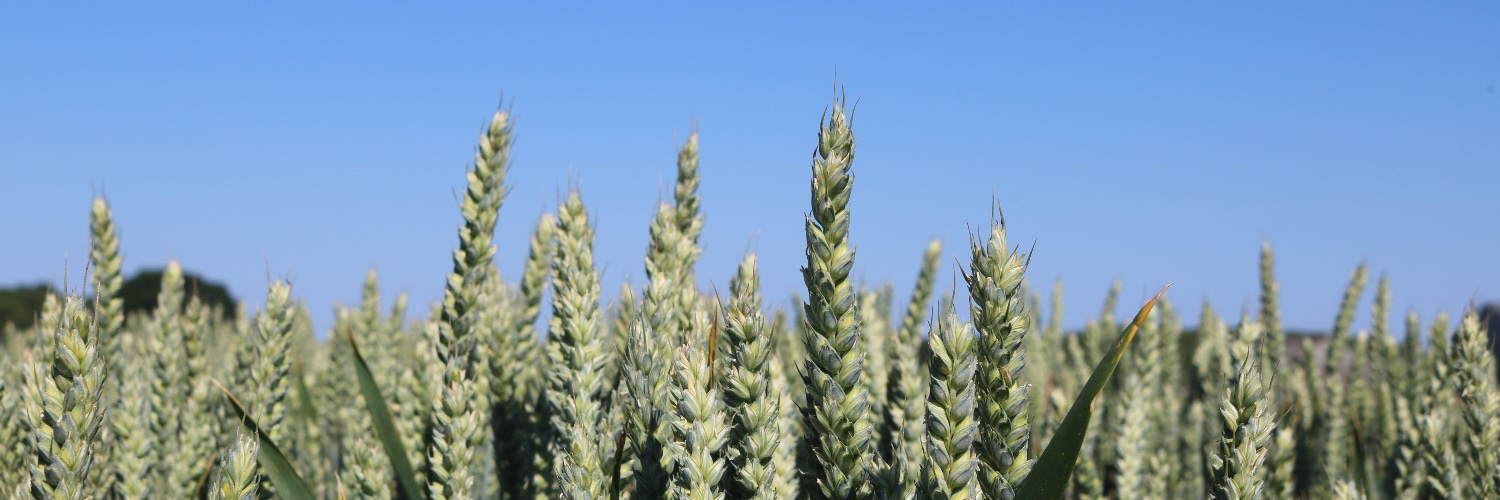 PROBITY Project banner