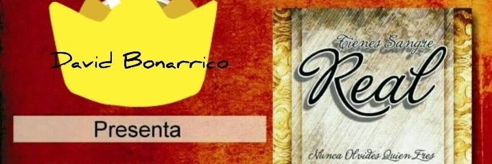 David Bonarrico banner