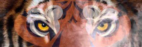 Auburn Tigers🐅🏈 banner