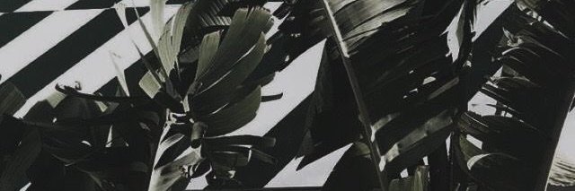 LeyLazcano's profile banner image