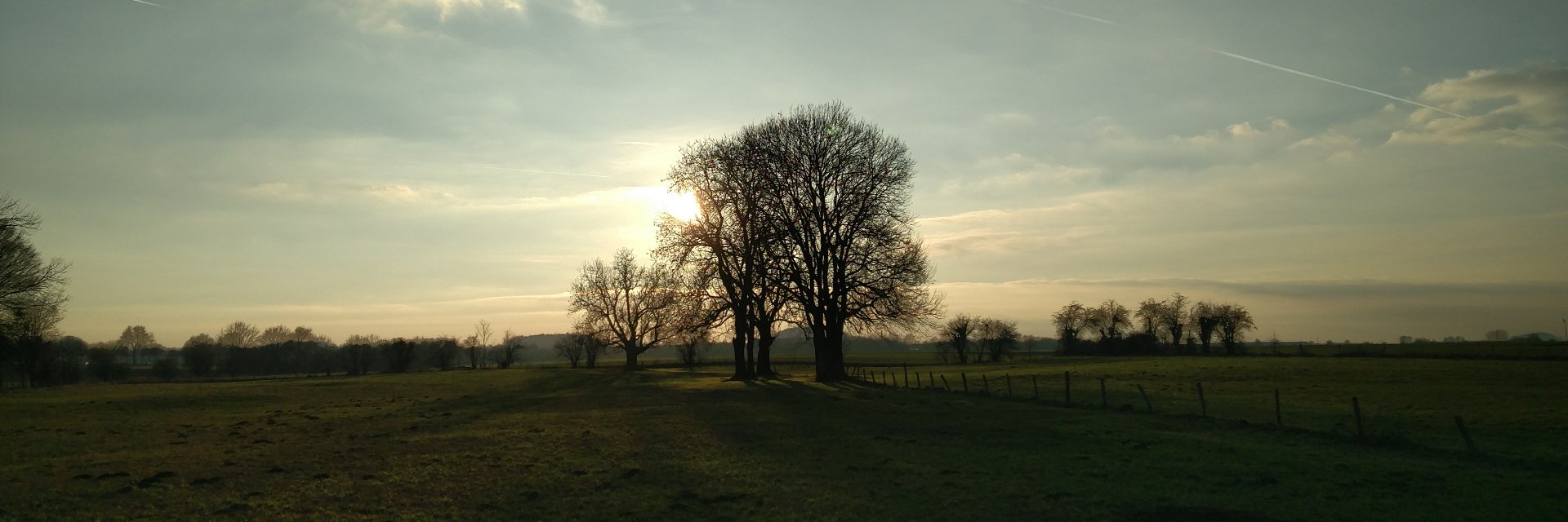 Jan K. ™ #T1D 🍚🩸 #OSS #MVP #FCKNZS banner