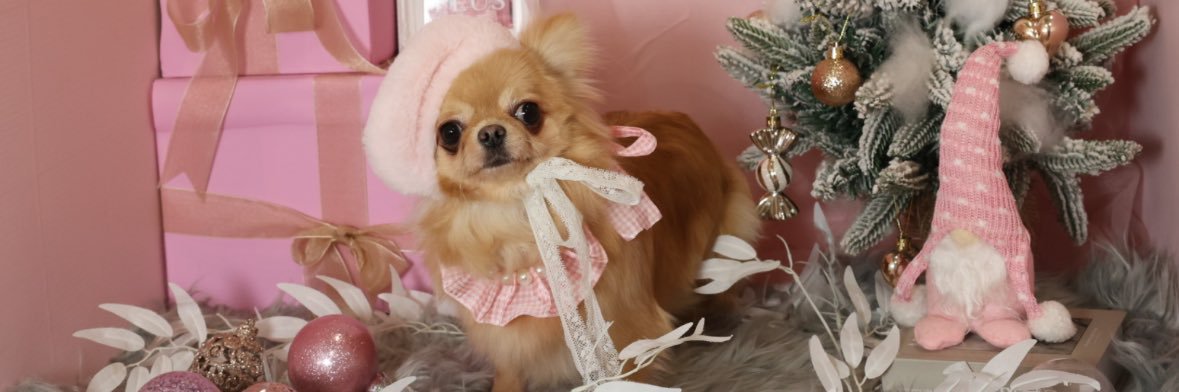maᒼᑋªⁿ✿ banner