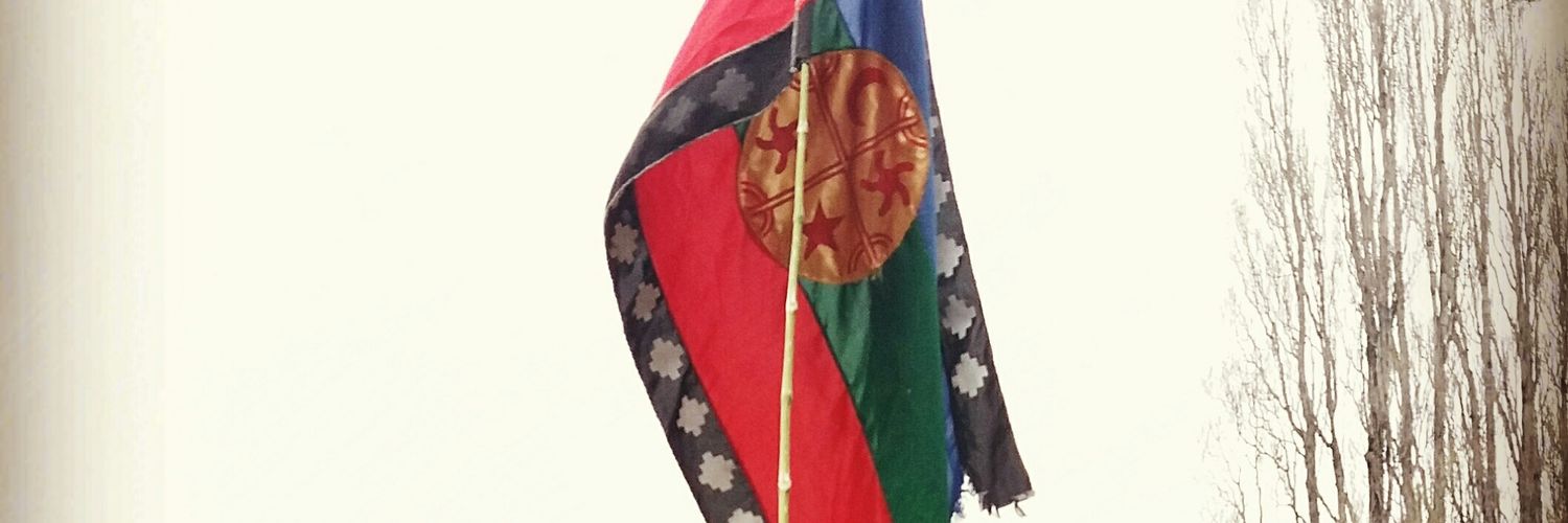 yaaniteveo's profile banner image
