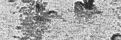Susana banner
