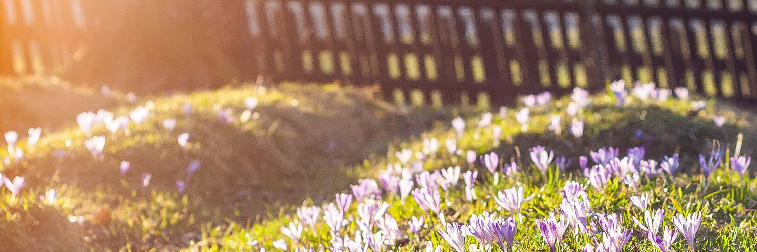 czysc00's profile banner image