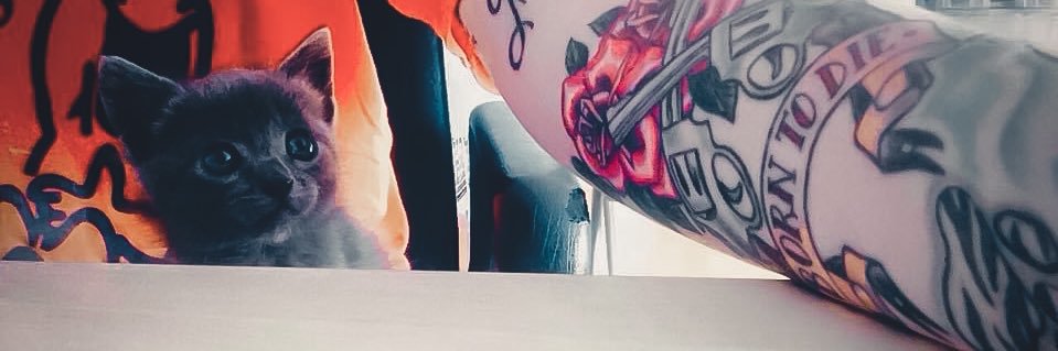 EvaGelCot's profile banner image