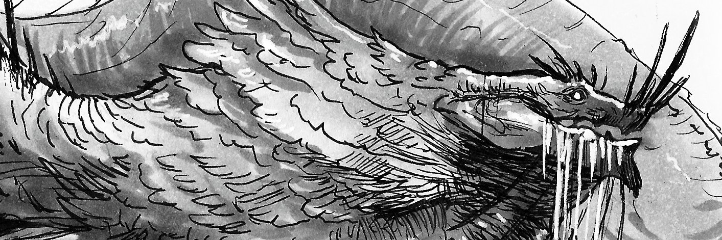 vandiche's profile banner image