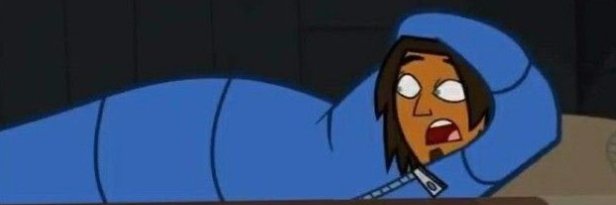 Tyler's banner