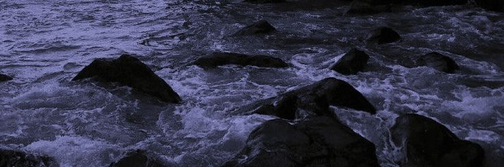 Vit banner