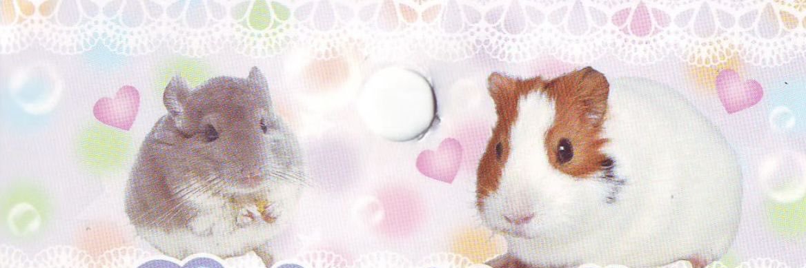 걔's banner