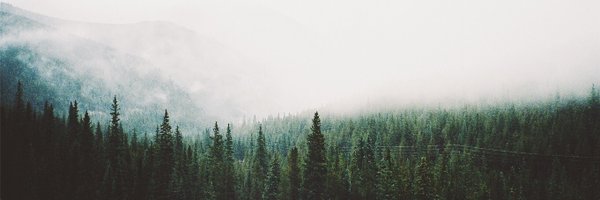 skyerossi Profile Banner