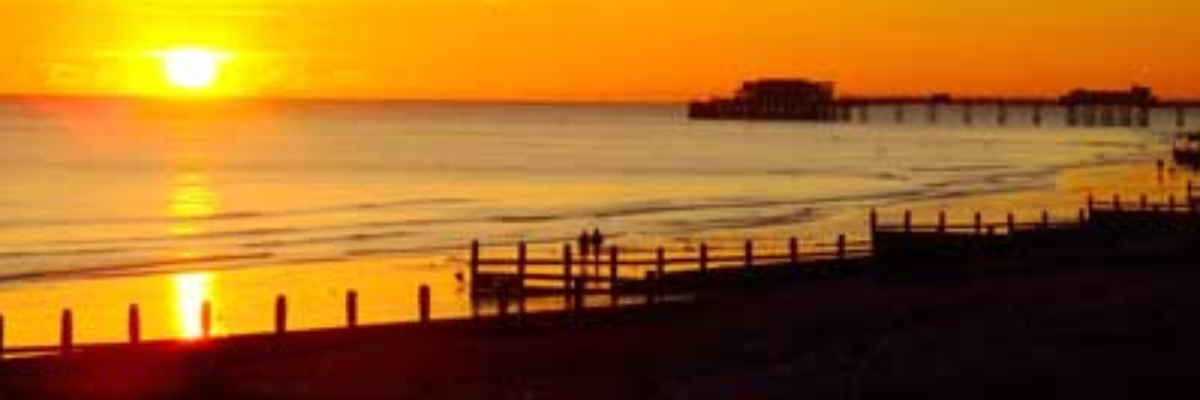 Ryan Sketchley banner