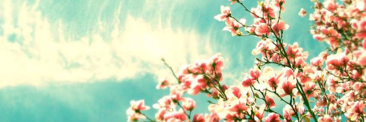 jaypaxton2's profile banner image