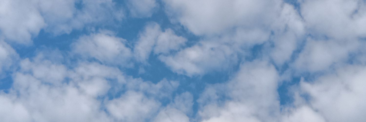 LMouiex's profile banner image