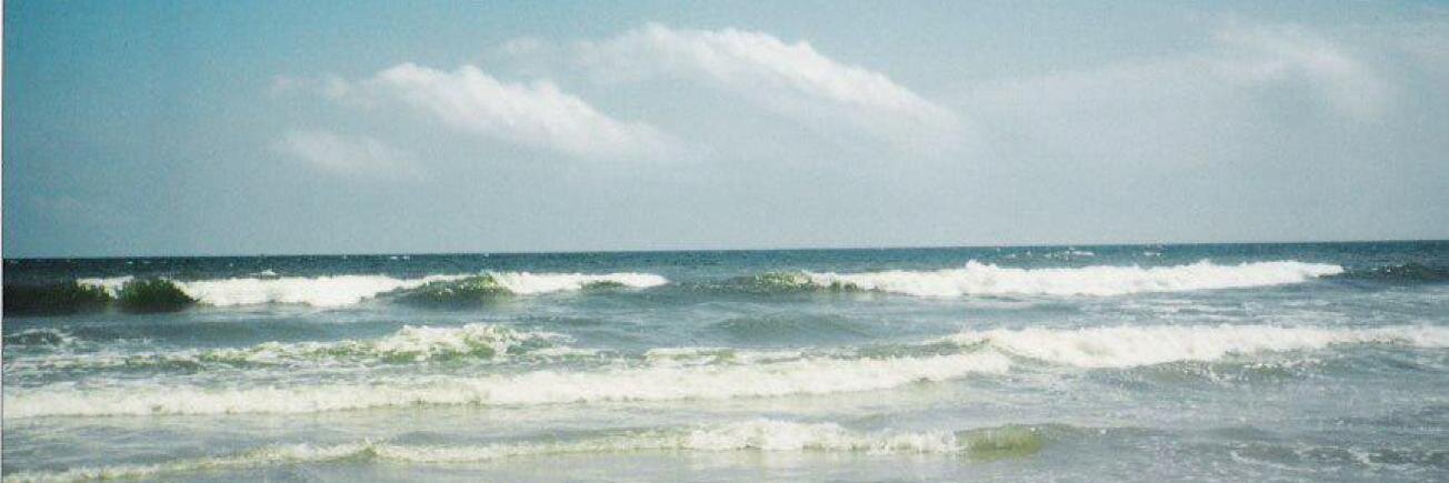 𝒟𝓇. 𝒞𝒶𝓇ℴ𝓁 ℒ. 𝒟𝒾𝓉𝓉ℴℯ 🐨 🇺🇦 banner