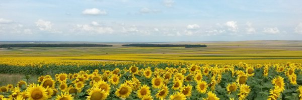 FlaviusNB Profile Banner