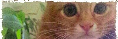 maarin100's profile banner image