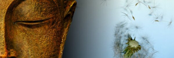 runanc Profile Banner