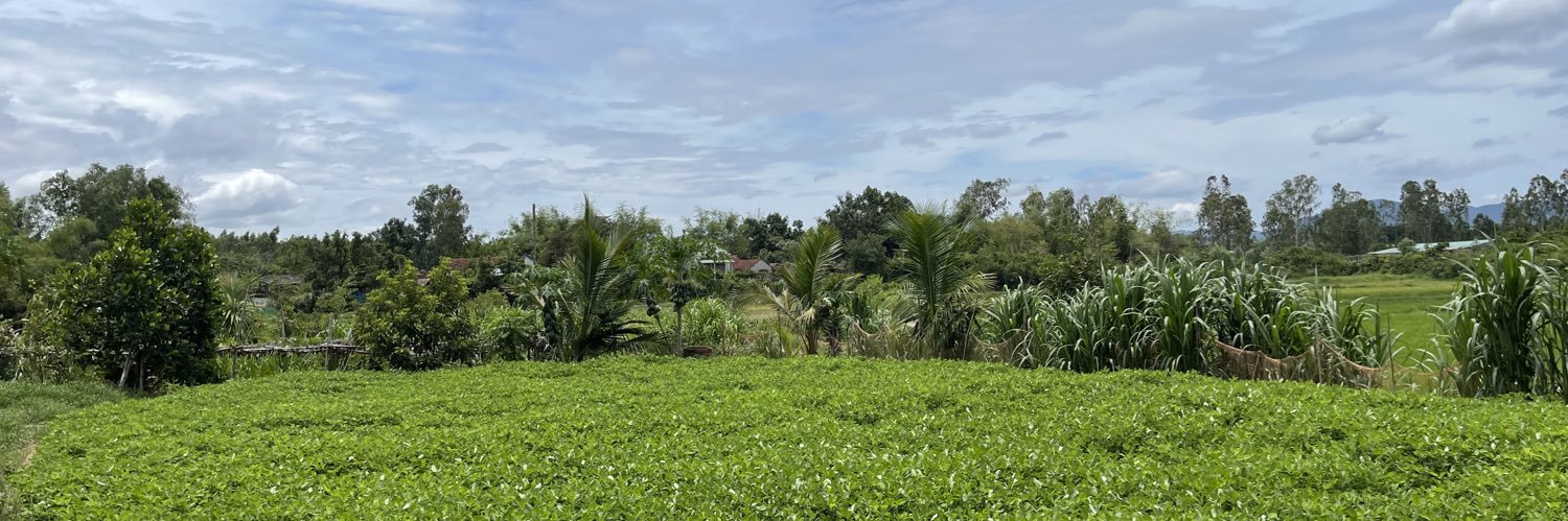 Trần Mỹ Lệ | Mila banner