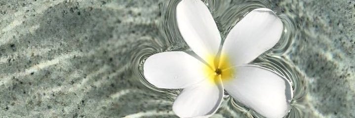 Nnnnn. banner