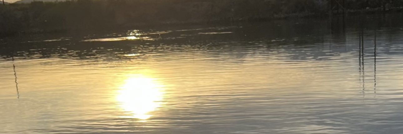 Rachelbv03's profile banner image