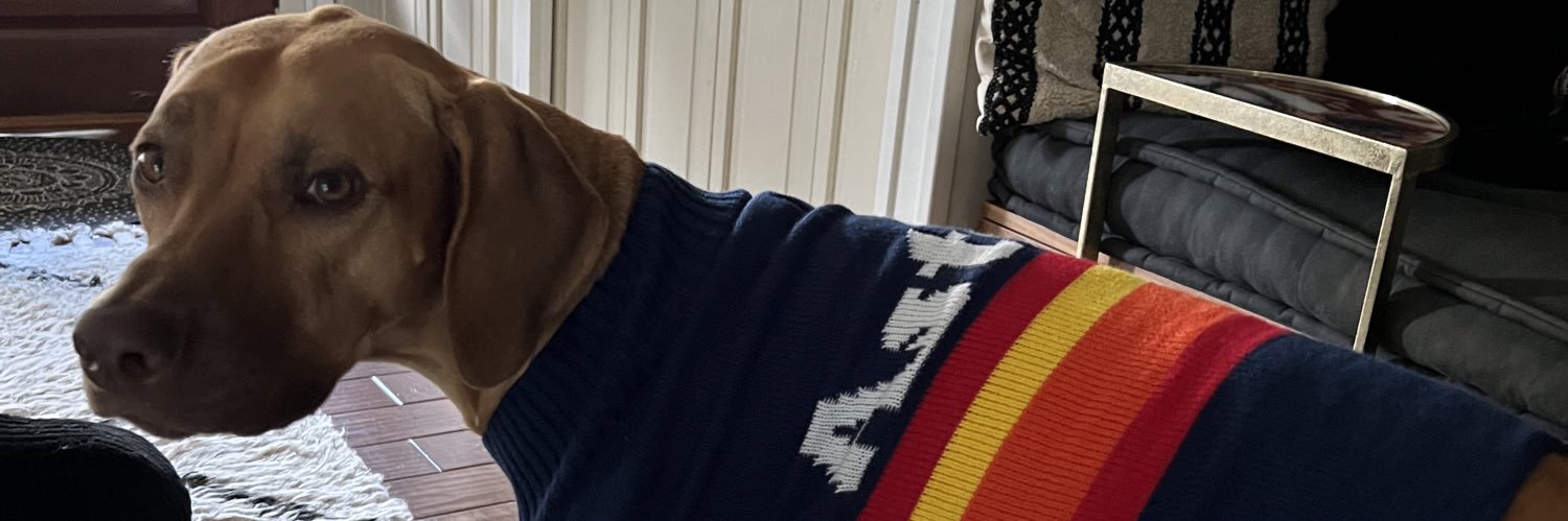 queeniewoodson's profile banner image