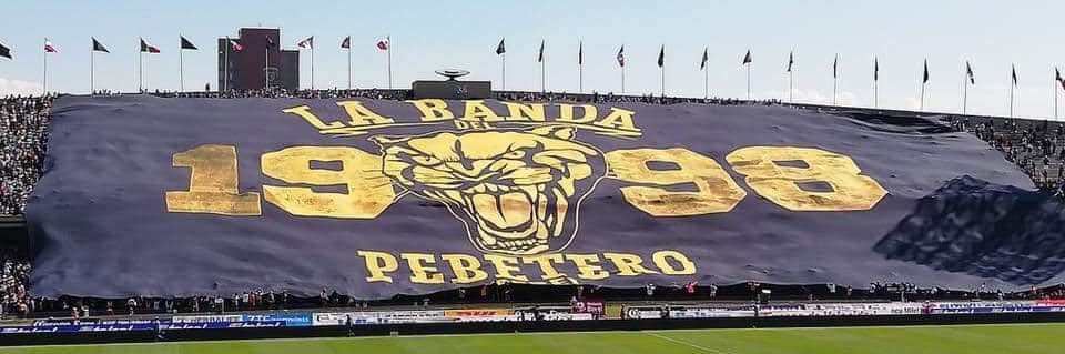 Manolo Baeza 🐱 banner
