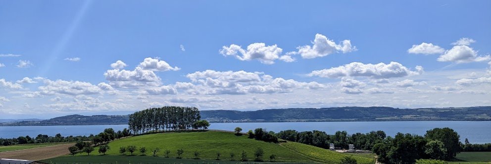 Sierra Slettvet banner