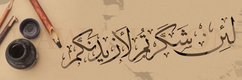 alio600's profile banner image