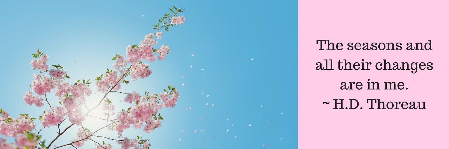 TO_Goddess's profile banner image