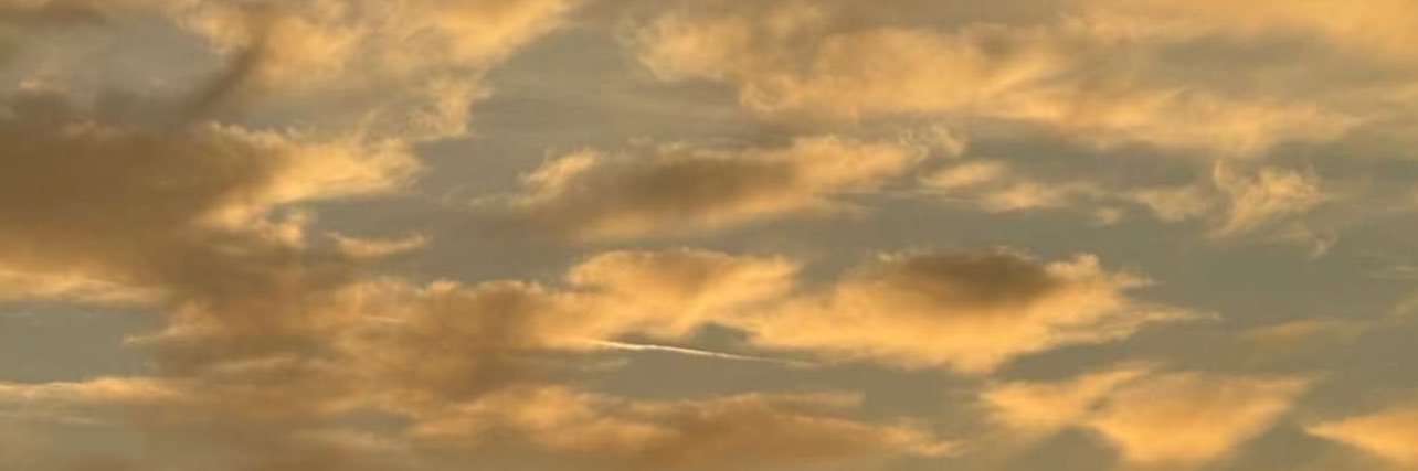 ❦ banner
