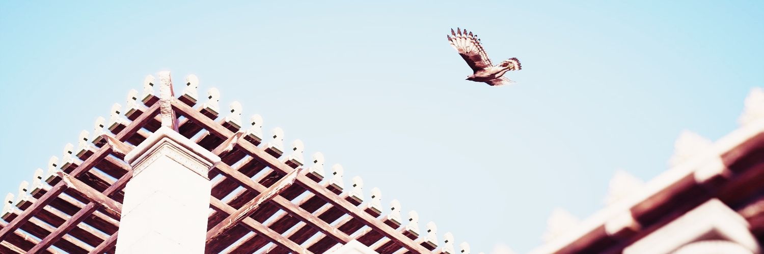MenOrMemorex's profile banner image