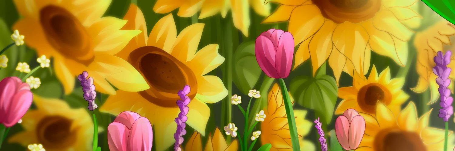 星空 ݁˖ banner